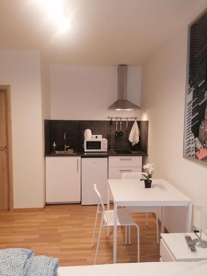 Studio Brand New Apartment #28 In New Building With Free Parking In City Center Prag Eksteriør billede